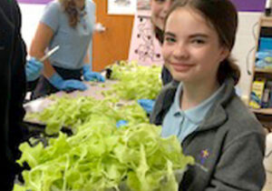 Seventh-grader Lara Rand holds the fruits -- or rather, lettuce -- of their labors in the the aquaponics lab at Holy Cross School in Champaign. The school is the first in the country to have this technology and plans to share what they have learned with others. (Provided photo)
